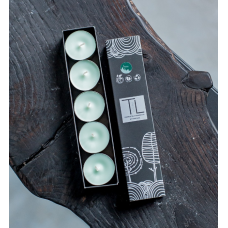 TL Candles sojas vaska tējas sveču komplekts ar meža aromātu, 5gb.
